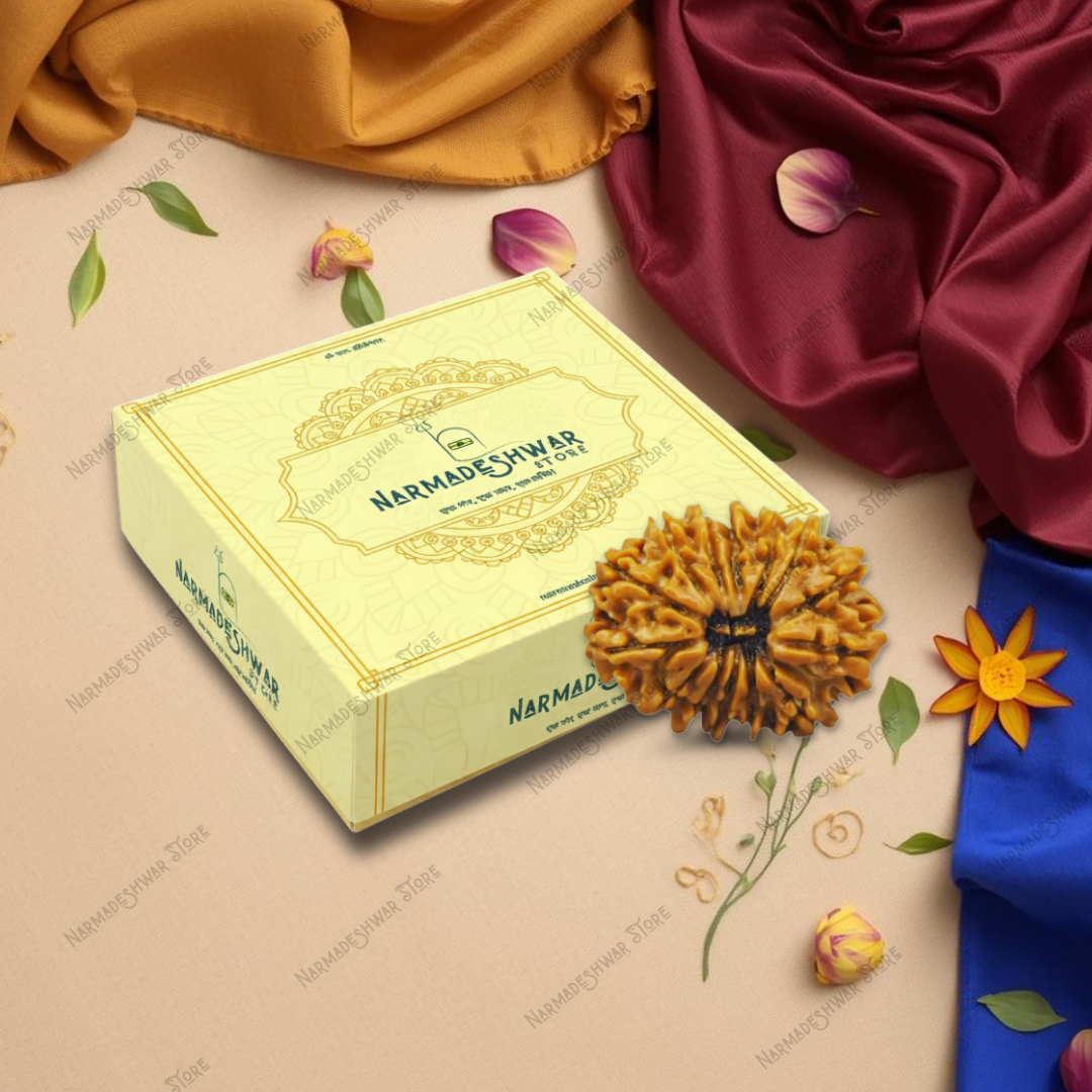 14 Mukhi Rudraksha, original 14 Mukhi Rudraksha bead, Chaudah Mukhi Rudraksha for puja, sacred 14 Mukhi Rudraksha bead, Vedic energized 14 Mukhi Rudraksha, authentic 14 Mukhi Rudraksha India, Narmadeshwar Store 14 Mukhi Rudraksha, Narmadeshwar Store Rudraksha beads, Narmadeshwar Store spiritual products, authentic products by Narmadeshwar Store, Narmadeshwar Store Vedic spiritual items, Narmadeshwar Store Hindu spiritual products