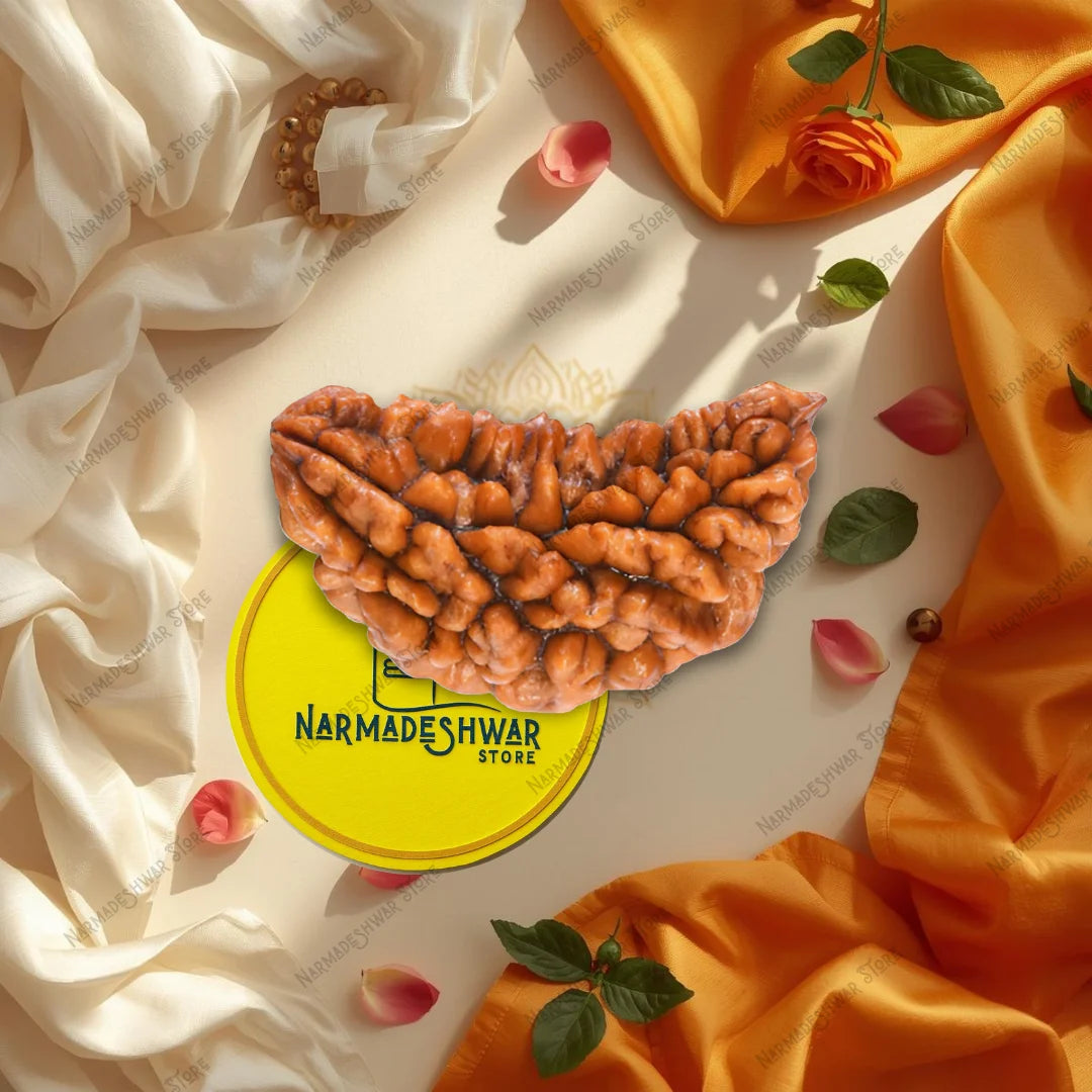 1 मुखी रुद्राक्ष – वैदिक विधि द्वारा अभिमंत्रित