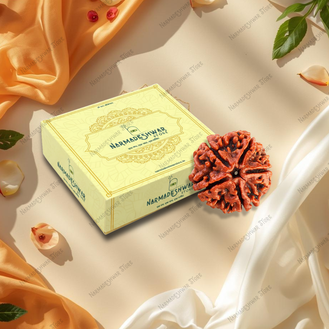 5 Mukhi Rudraksha, original 5 Mukhi Rudraksha bead, Panch Mukhi Rudraksha for puja, sacred 5 Mukhi Rudraksha bead, Vedic energized 5 Mukhi Rudraksha, authentic 5 Mukhi Rudraksha India, Narmadeshwar Store 5 Mukhi Rudraksha, Narmadeshwar Store Rudraksha beads, Narmadeshwar Store spiritual products, authentic products by Narmadeshwar Store, Narmadeshwar Store Vedic spiritual items, Narmadeshwar Store Hindu spiritual products