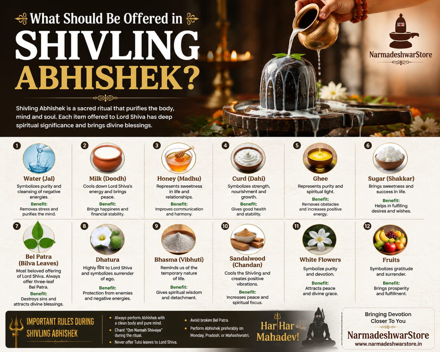 What Should Be Offered in Shivling Abhishek? A Complete Guide