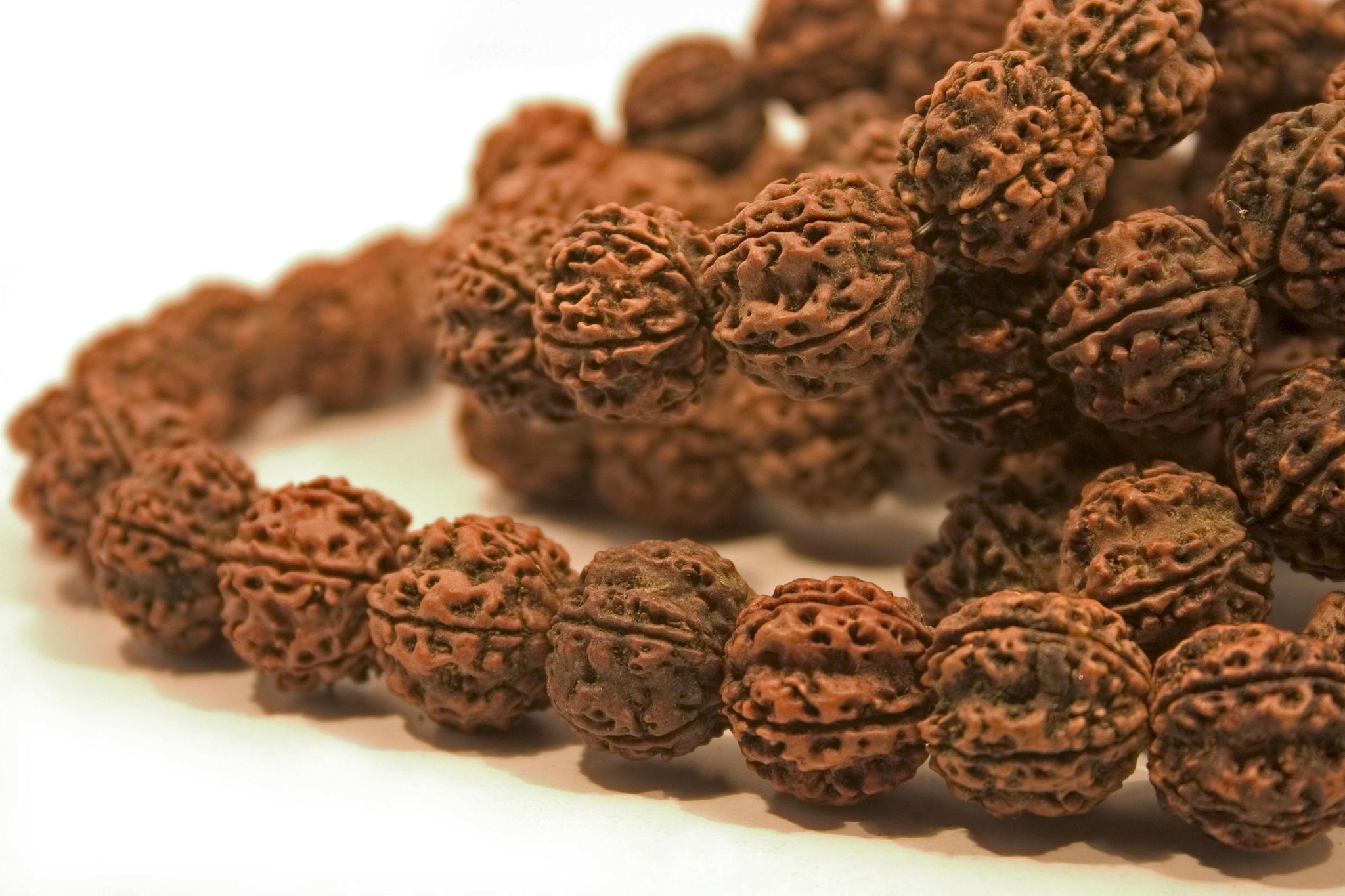 How Long Does a Rudraksha Take to Show Its Effects?