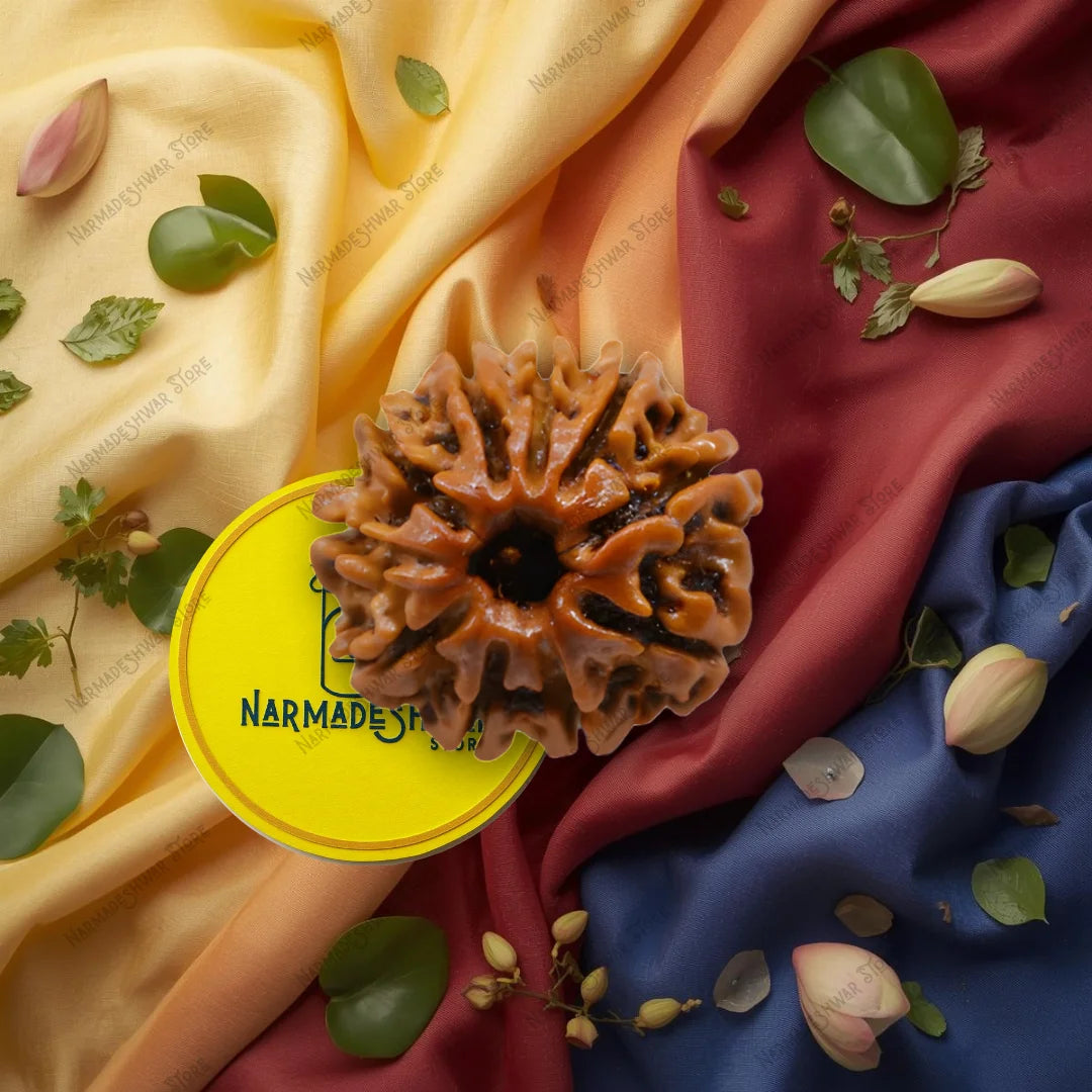 10 मुखी रुद्राक्ष – वैदिक विधि द्वारा अभिमंत्रित