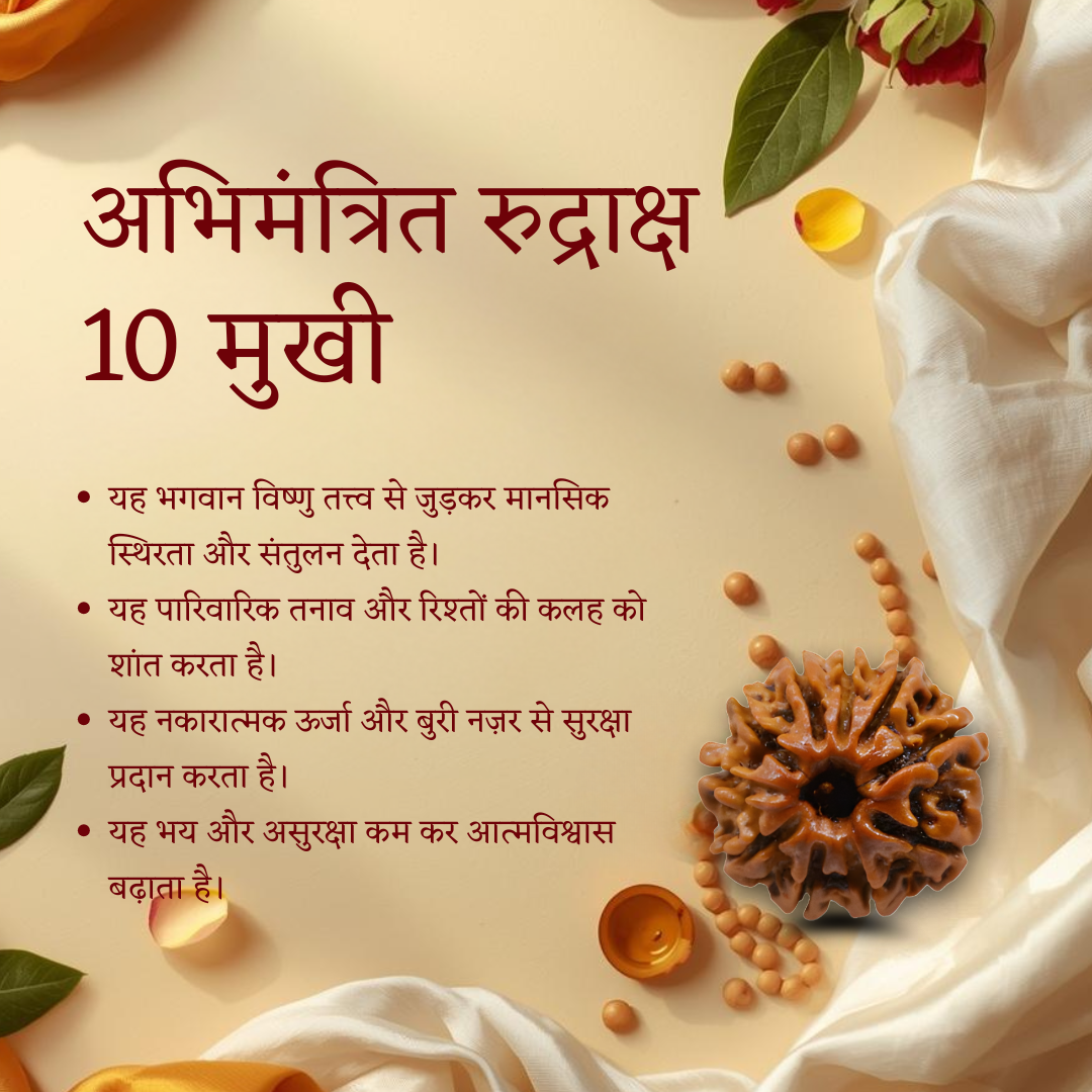 Authentic 10 Mukhi Rudraksha bead benefit for protection and stability 