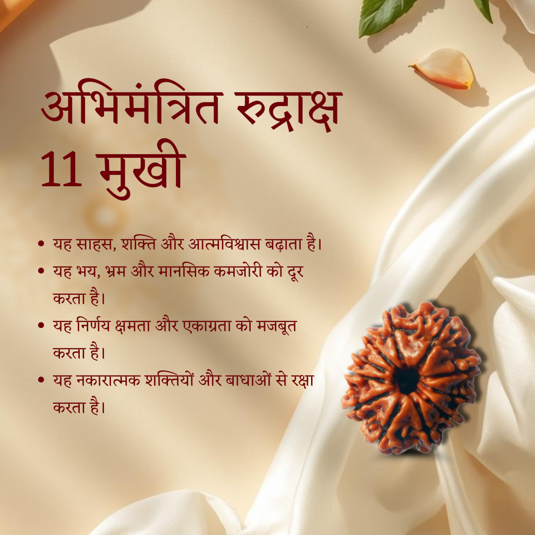 11 Mukhi Rudraksha benefits Vedic Energized Hanuman Rudraksha Ekadash Rudra bead
