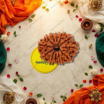 Original 12 Mukhi Rudraksha Vedic Energized Surya bead