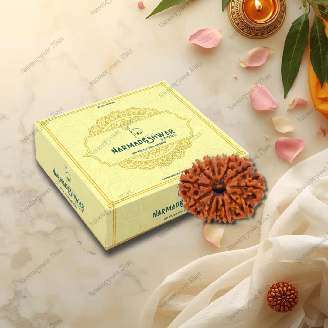 Narmadeeshwar Rudraksha box with rudraksh beads on a decorative background 12 Mukhi Rudraksha with authenticity certificate