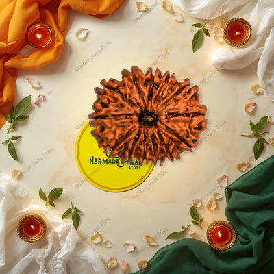 13 मुखी रुद्राक्ष – वैदिक विधि द्वारा अभिमंत्रित