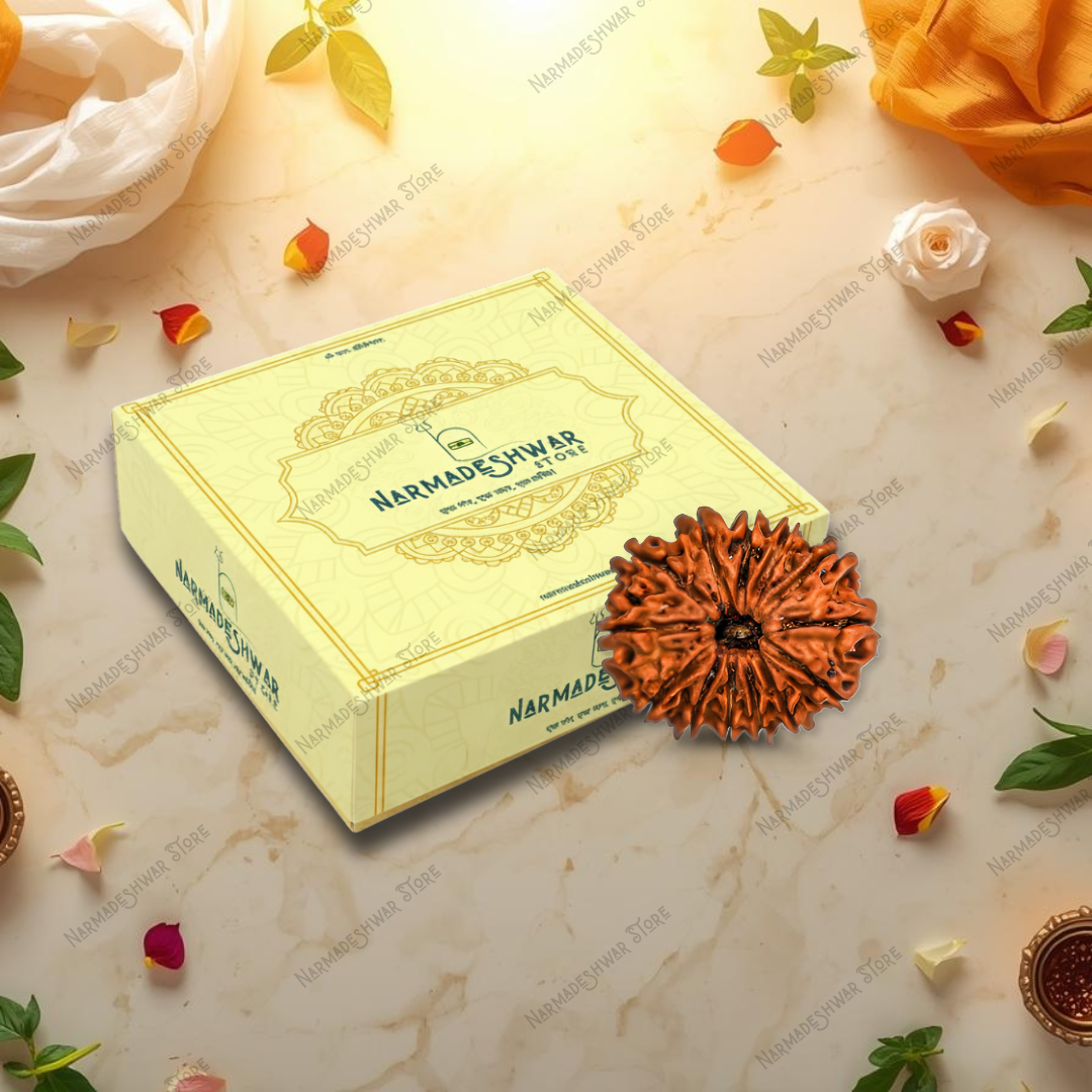 Narmadeeshwar box with a Rudraksha on a decorative background