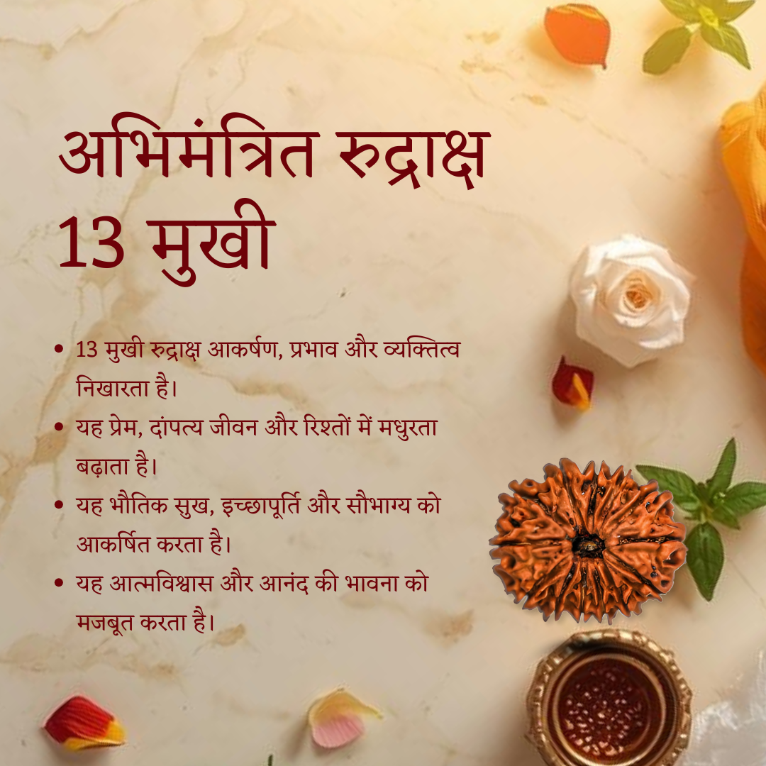 13 Mukhi Rudraksha, original 13 Mukhi Rudraksha bead, Terah Mukhi Rudraksha for puja, sacred 13 Mukhi Rudraksha bead, Vedic energized 13 Mukhi Rudraksha, authentic 13 Mukhi Rudraksha India, Narmadeshwar Store 13 Mukhi Rudraksha, Narmadeshwar Store Rudraksha beads, Narmadeshwar Store spiritual products, authentic products by Narmadeshwar Store, Narmadeshwar Store Vedic spiritual items, Narmadeshwar Store Hindu spiritual products