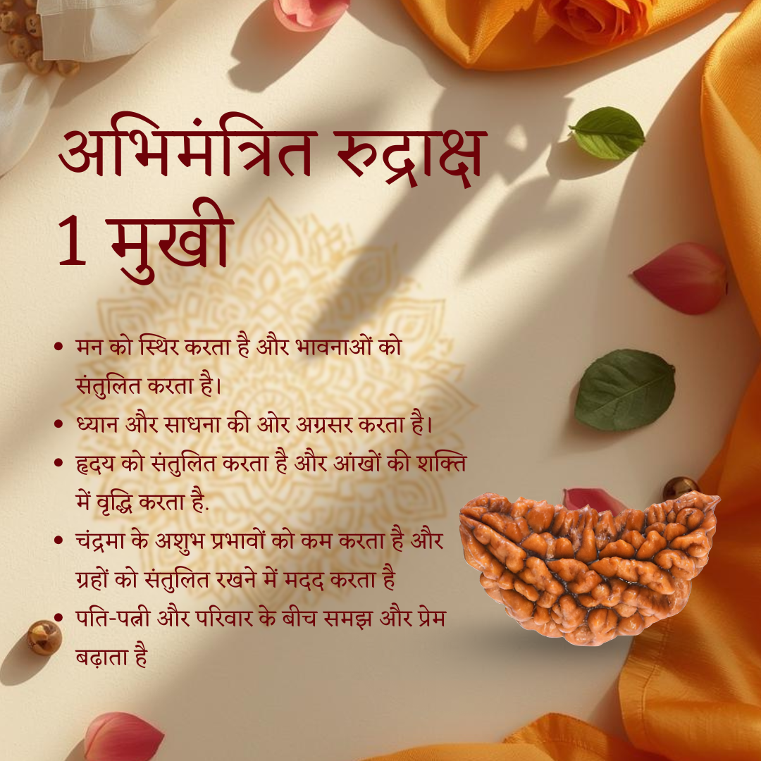 1 Mukhi Rudraksha benefits and Vedic energized Shiva bead details