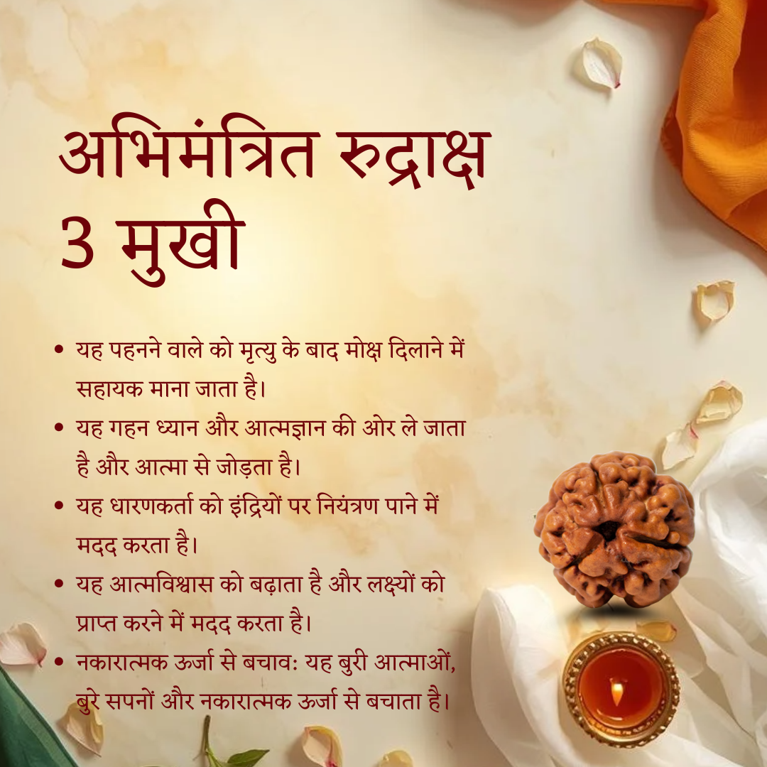 3 Mukhi Rudraksha benefits Vedic energized Agni Rudraksha information