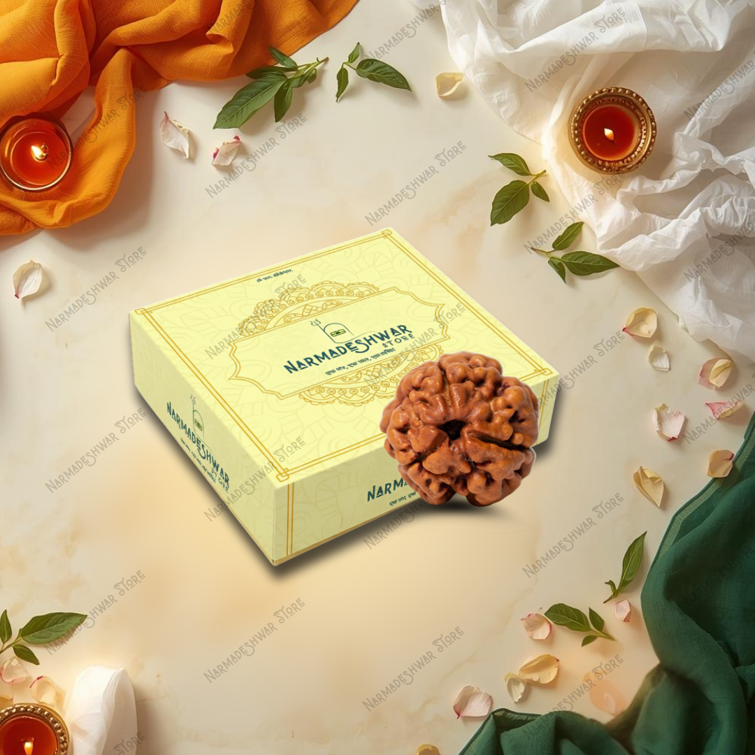 3 Mukhi Rudraksha, original 3 Mukhi Rudraksha bead, Teen Mukhi Rudraksha for puja, sacred 3 Mukhi Rudraksha bead, Vedic energized 3 Mukhi Rudraksha, authentic 3 Mukhi Rudraksha India, Narmadeshwar Store 3 Mukhi Rudraksha, Narmadeshwar Store Rudraksha beads, Narmadeshwar Store spiritual products, authentic products by Narmadeshwar Store, Narmadeshwar Store Vedic spiritual items, Narmadeshwar Store Hindu spiritual products