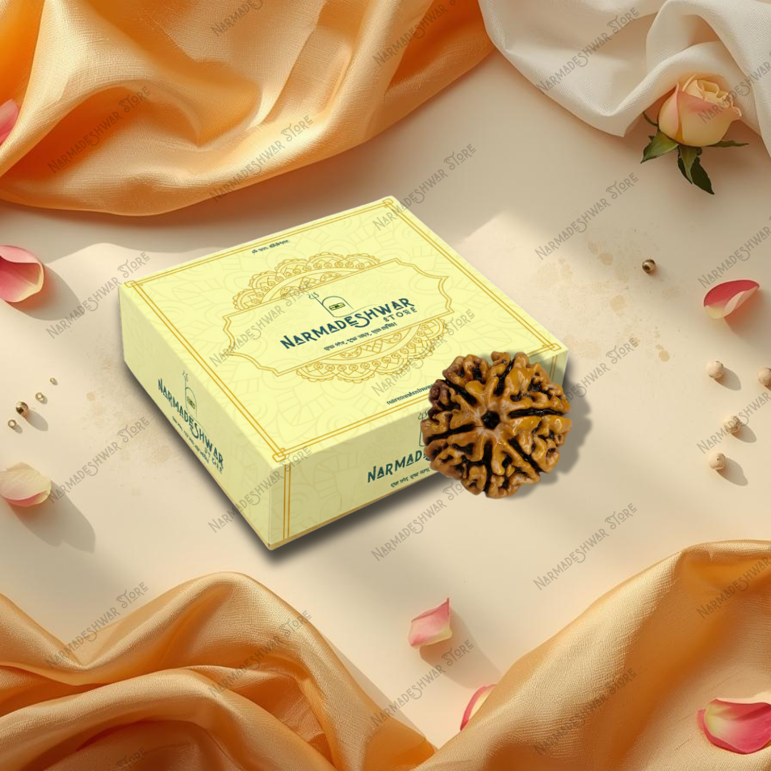 6 Mukhi Rudraksha, original 6 Mukhi Rudraksha bead, Chhah Mukhi Rudraksha for puja, sacred 6 Mukhi Rudraksha bead, Vedic energized 6 Mukhi Rudraksha, authentic 6 Mukhi Rudraksha India, Narmadeshwar Store 6 Mukhi Rudraksha, Narmadeshwar Store Rudraksha beads, Narmadeshwar Store spiritual products, authentic products by Narmadeshwar Store, Narmadeshwar Store Vedic spiritual items, Narmadeshwar Store Hindu spiritual products