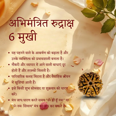 6 Mukhi Rudraksha, original 6 Mukhi Rudraksha bead, Chhah Mukhi Rudraksha for puja, sacred 6 Mukhi Rudraksha bead, Vedic energized 6 Mukhi Rudraksha, authentic 6 Mukhi Rudraksha India, Narmadeshwar Store 6 Mukhi Rudraksha, Narmadeshwar Store Rudraksha beads, Narmadeshwar Store spiritual products, authentic products by Narmadeshwar Store, Narmadeshwar Store Vedic spiritual items, Narmadeshwar Store Hindu spiritual products