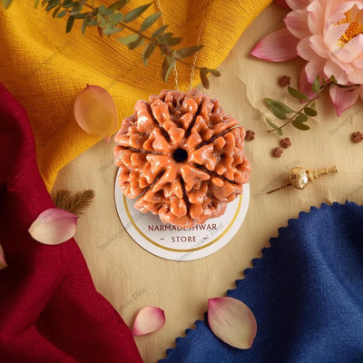 7 मुखी रुद्राक्ष – वैदिक विधि द्वारा अभिमंत्रित