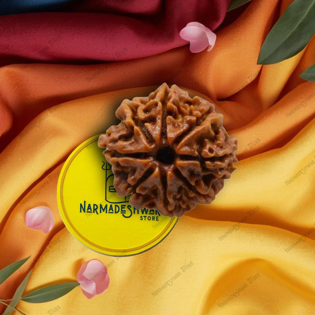 8 मुखी रुद्राक्ष – वैदिक विधि द्वारा अभिमंत्रित