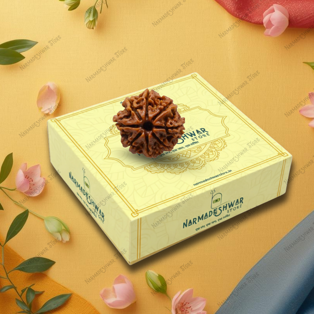 8 Mukhi Rudraksha, original 8 Mukhi Rudraksha bead, Aath Mukhi Rudraksha for puja, sacred 8 Mukhi Rudraksha bead, Vedic energized 8 Mukhi Rudraksha, authentic 8 Mukhi Rudraksha India, Narmadeshwar Store 8 Mukhi Rudraksha, Narmadeshwar Store Rudraksha beads, Narmadeshwar Store spiritual products, authentic products by Narmadeshwar Store, Narmadeshwar Store Vedic spiritual items, Narmadeshwar Store Hindu spiritual products