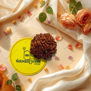 Original 9 Mukhi Rudraksha natural Durga bead Vedic energized