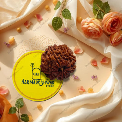 9 मुखी रुद्राक्ष – वैदिक विधि द्वारा अभिमंत्रित