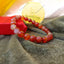 Red Sulemani Bracelet, Sulemani Hakik Bracelet, Naam Se Abhimantrit Bracelet, Dr Prabhat Jain Recommended Bracelet, Narmadeshwar Store Sulemani, Protection Bracelet, Nazar Dosh Bracelet, Emotional Stability Bracelet, Anger Control Bracelet, Negative Energy Protection Stone, Travel Protection Bracelet, Root Chakra Bracelet, Red Agate Bracelet, Spiritual Protection Band